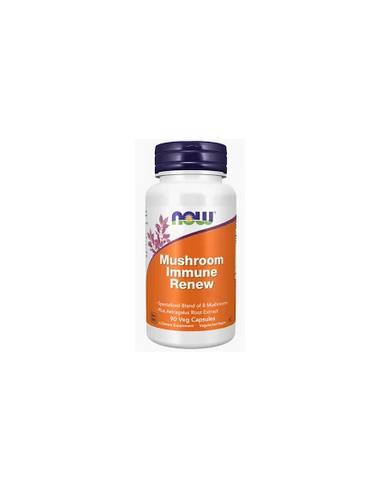 Mushroom Immune Renew : Une Synergie de 8 champignons