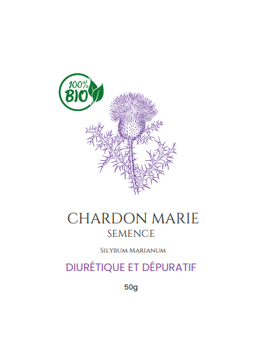 Semence de Chardon Marie – Votre Source Naturelle de Vitalité