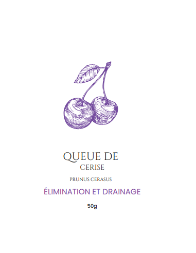 Queue de Cerise – Votre Infusion Détox Naturelle