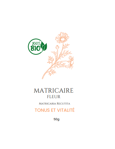 Matricaire – L'Infusion Apaisante et Bienfaisante