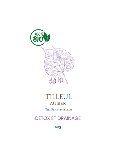 Tisane d'Aubier de Tilleul – L'Infusion Apaisante et Détoxifiante