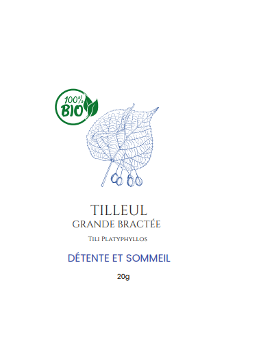 Tilleul  – Votre Allié Naturel pour la Détente