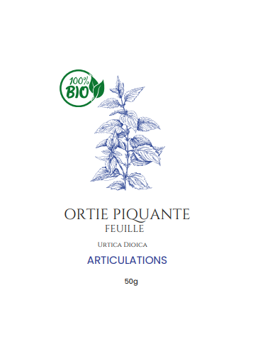 Ortie Piquante – Le Trésor de la Nature pour Votre Vitalité