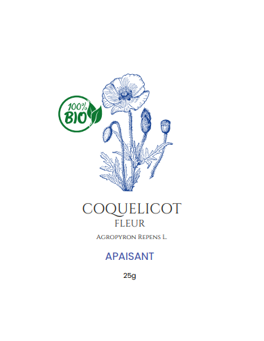 Coquelicot Bio – La Fleur de la Sérénité