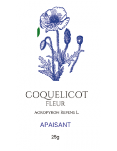 Coquelicot – La Fleur de la...