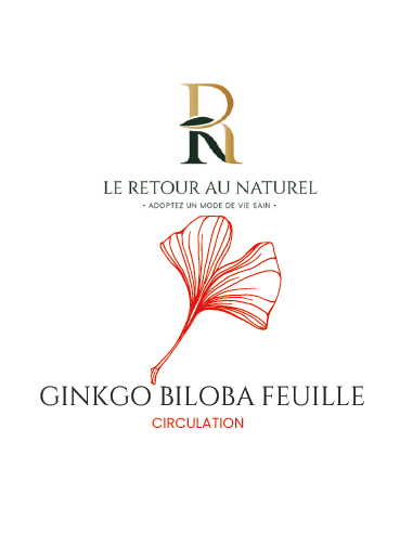 Gélules de Ginkgo - Concentration et Mémoire au Naturel