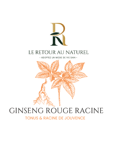 Gélules de Ginseng Rouge - Vitalité et Énergie au Quotidien