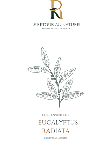 Huile Essentielle d'Eucalyptus Radiata – Pureté et Bien-Être Respiratoire