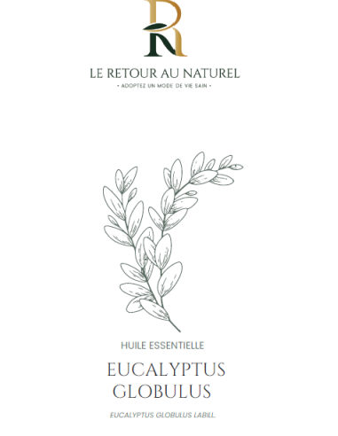 Huile Essentielle d'Eucalyptus Globulus – Pureté et Fraîcheur Naturelle