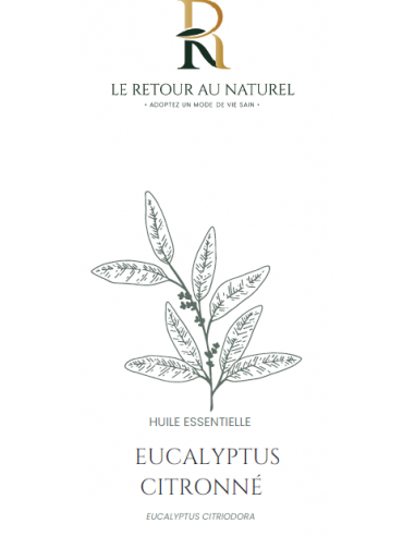 Huile Essentielle d'Eucalyptus Citronné – Fraîcheur et Bien-être Naturel