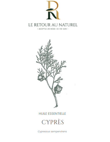 Huile Essentielle de Cyprès - L'Élixir de Vitalité Naturelle