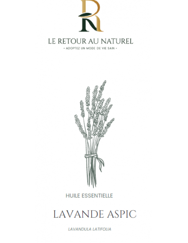 Huile Essentielle de Lavande Aspic – Un trésor aromatique pour apaiser et revitaliser