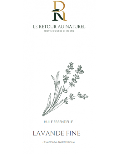 Huile Essentielle de Lavande Fine – Une essence douce et polyvalente pour le bien-être au quotidien