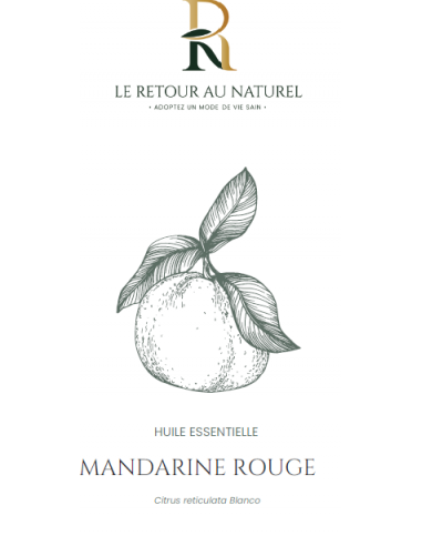 Huile Essentielle de Mandarine Rouge  – L’essence d’une sérénité fruitée