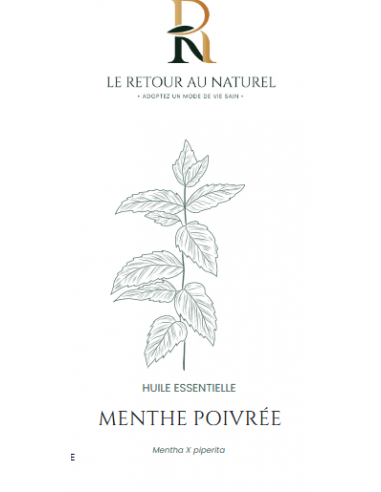 Huile Essentielle de Menthe Poivrée 10 ml – Fraîcheur et Vitalité au Naturel