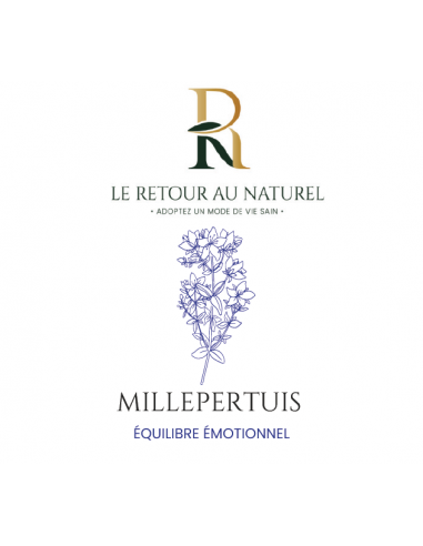 Millepertuis (gélules) - Votre allié naturel pour l’équilibre émotionnel