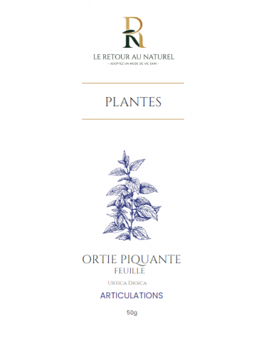 Ortie Piquante – Le Trésor de la Nature pour Votre Vitalité