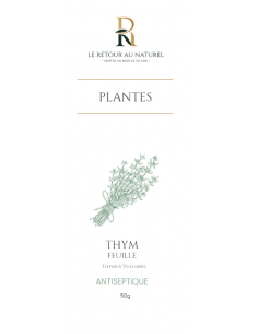 Tisane de Thym - Une Herbe...