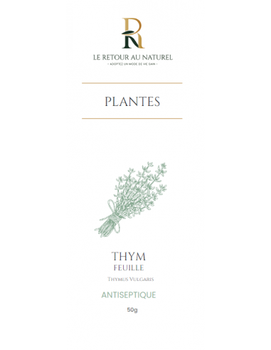 Tisane de Thym - Une Herbe Aromatique et Bienfaisante pour Votre Bien-Être