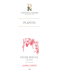 Feuilles de Vigne Rouge -...