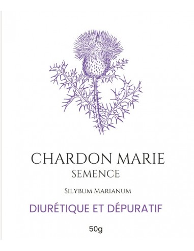 Semence de Chardon Marie – Votre Source Naturelle de Vitalité