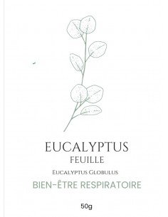 Tisane d’Eucalyptus – Une...