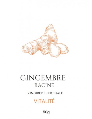 Tisane Racine de Gingembre – Une infusion épicée pour éveiller vos sens