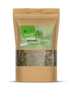 Menthe Poivrée d’Égypte –...