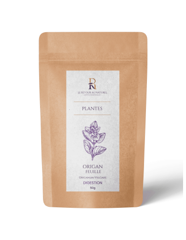 Tisane d’Origan – Une saveur méditerranéenne pour votre bien-être naturel