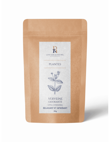 Tisane Verveine - Une Infusion Apaisante et Aromatique